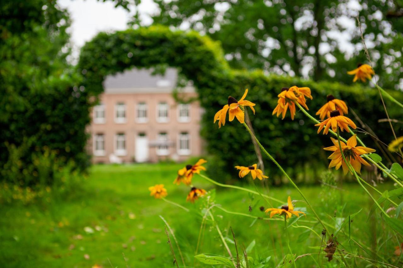 Amand'Eau - Zwemvijver, Zonneterras, Grote Tuin Sint-Amands Kültér fotó